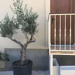 Daire Novem Zadar